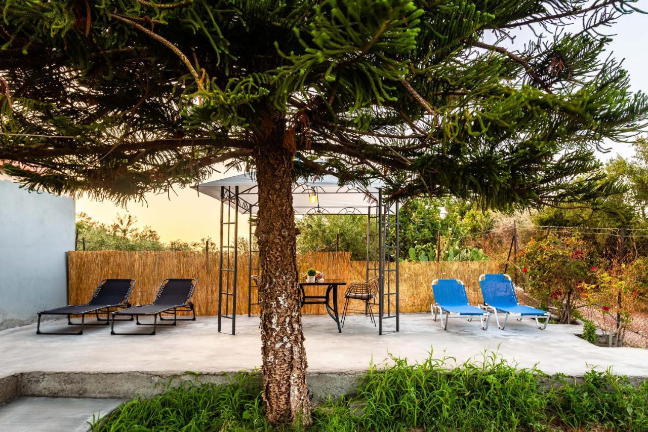 Apartment Makarounis Athanasios Traditional *